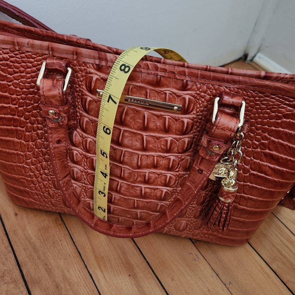 Brahmin mini asher - Picture 9 of 9